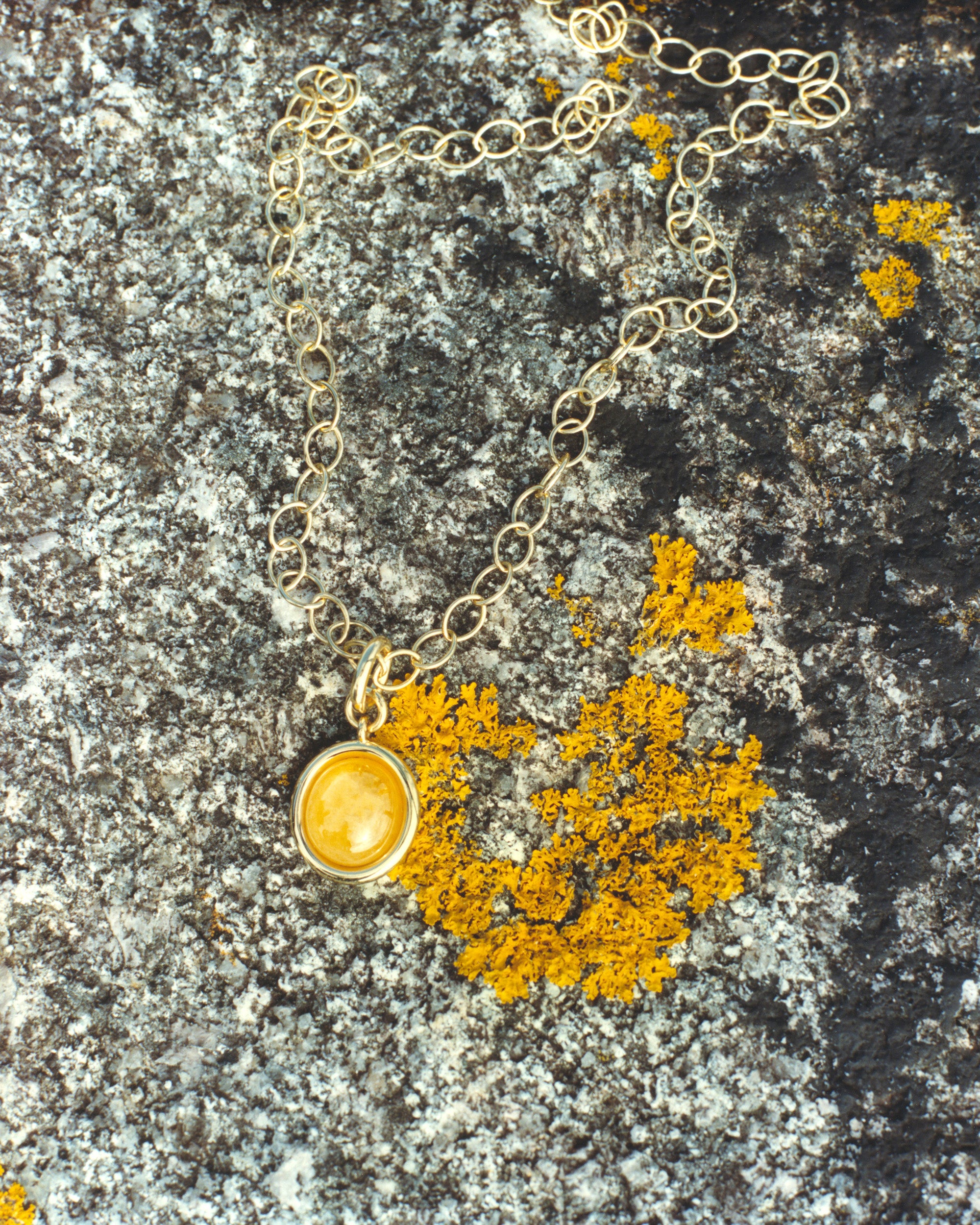 Cookbook image of 18k gold necklace with a round pendant on a textured stone surface with yellow lichen by Isabella Roux