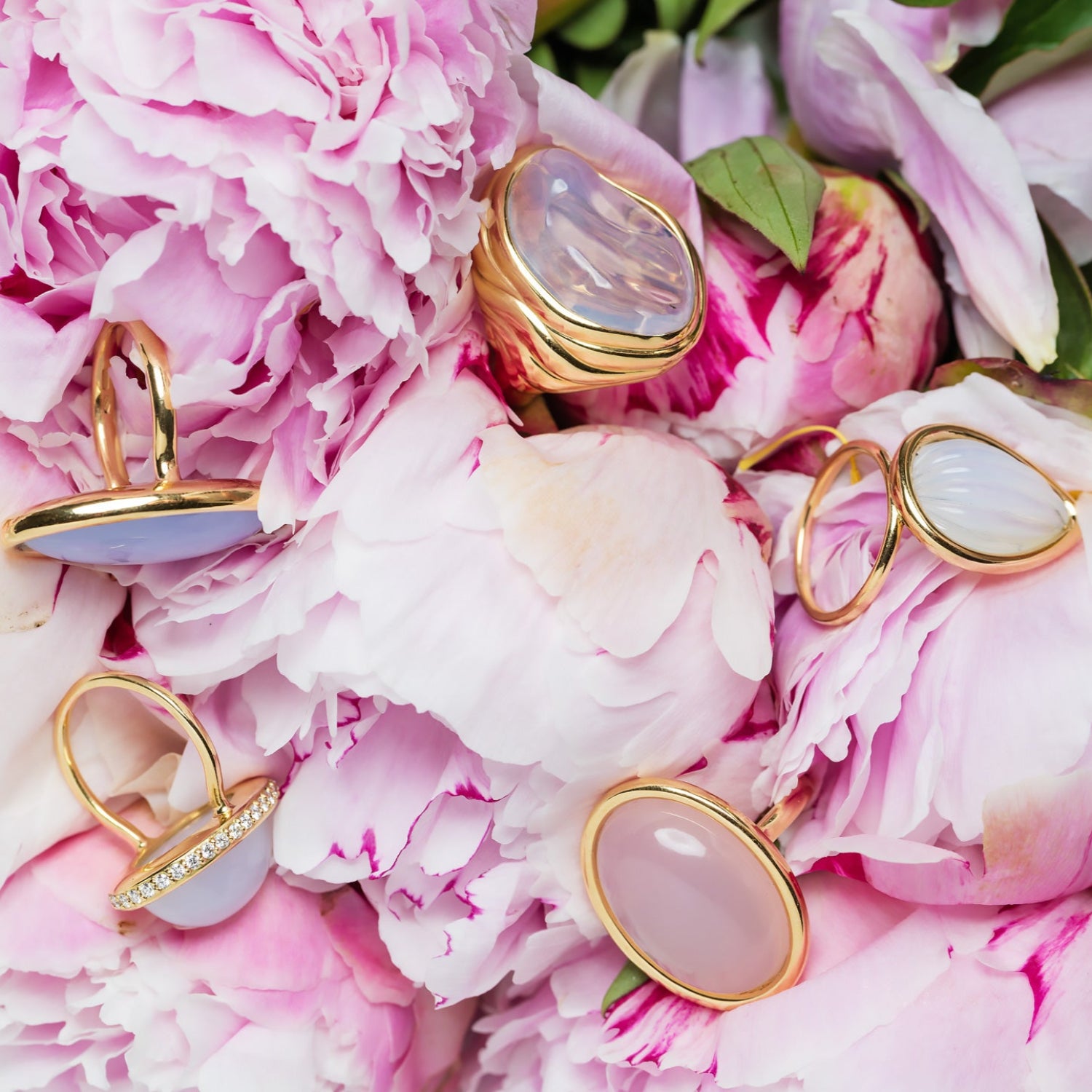 Pink roses with various rings and Hand-carved 18K yellow gold Pebble Moonstone Ring featuring a 3.4ct pear-shaped hand-carved moonstone surrounded by organic rounded gold by Isabella Roux.
